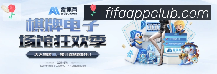 未来规划