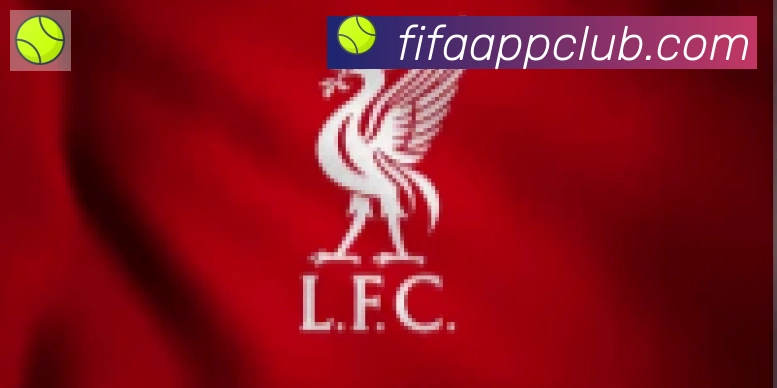 FIFA世界杯买球官方网站合作伙伴